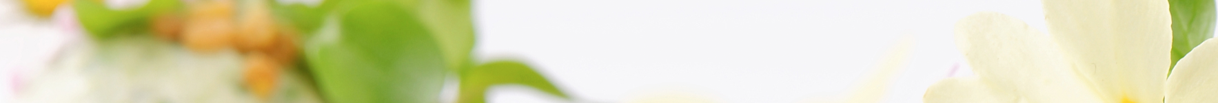 Blume und Gericht unscharf
